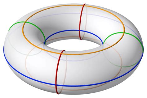 Torus - Wikiwand