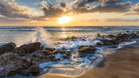 You're Likely To Find Prehistoric Shark Teeth At This Gorgeous Florida ...