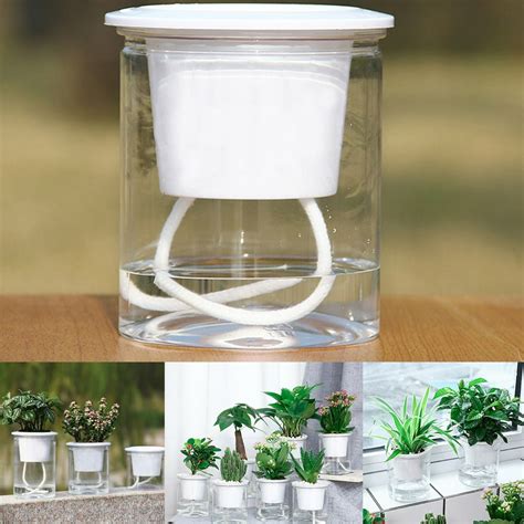 Walbest Clear Automatic Water Absorption Planter Plastic Self Watering ...