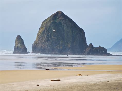 Haystack Rock, Cannon Beach, OR.