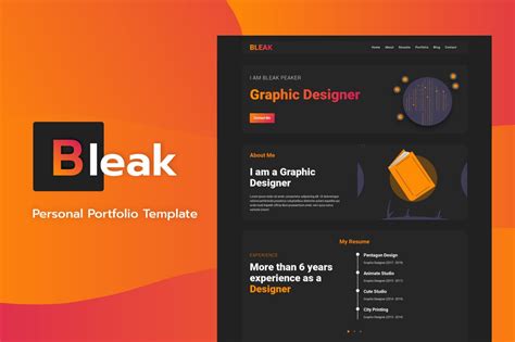 10 Best Graphic Design Portfolio Examples + Templates | Design Shack