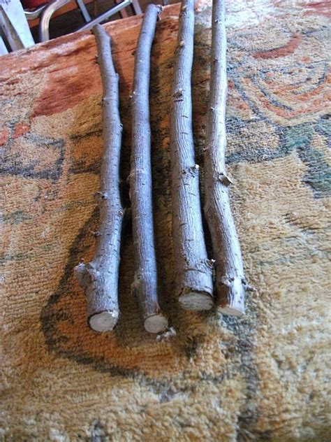 Wands by Tree: 13" Elm Wood Wand Blanks for Magick