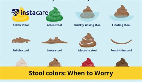 What Do Different Stool Colors Mean?