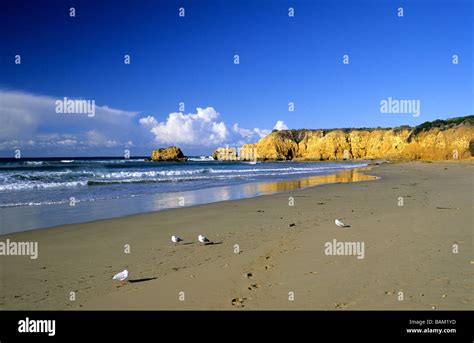 Australia, Victoria, beach on the Surf Coast Stock Photo - Alamy