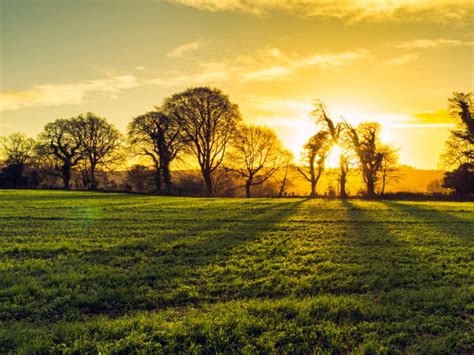 Ireland Countryside Stock Photos, Pictures & Royalty-Free Images - iStock