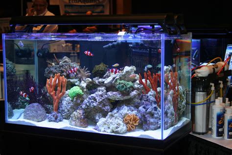 Rimless Reef Aquarium at MACNA