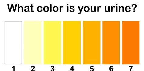 urine color chart urine varies in appearance depending principally ...