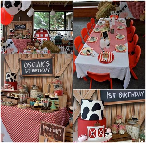 Petting Zoo Party Ideas - Pets Cat and Dog