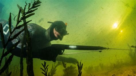 Spearfishing Tips for Beginners