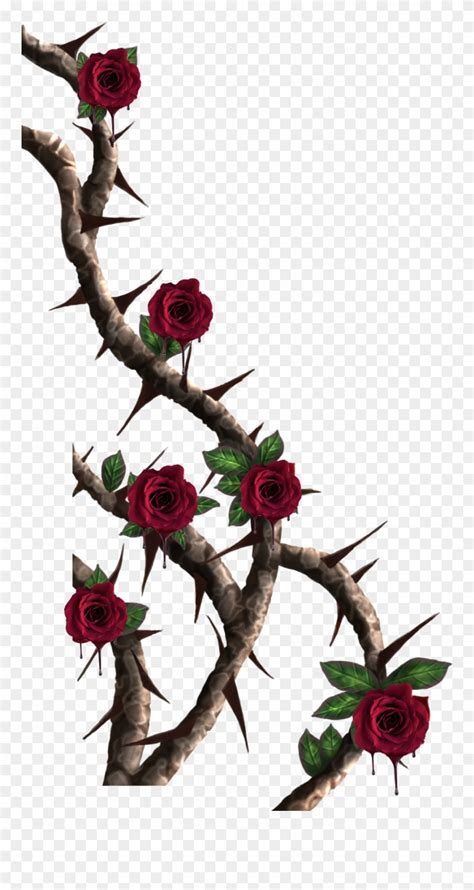 Download Vines Roses Vine Red - Rose Thorns Png Clipart (#4053334 ...