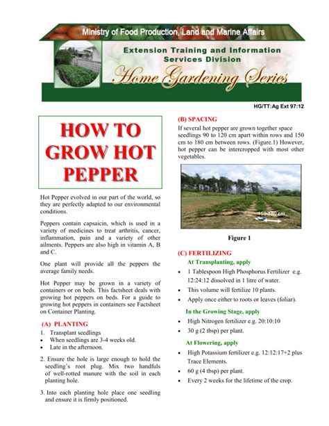 how-to-grow-hot-pepper