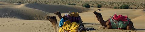 Rajasthan Desert safari Tour | We are Best in Safari tour