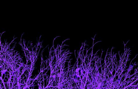 Dark Purple Wallpapers - Wallpaper Cave