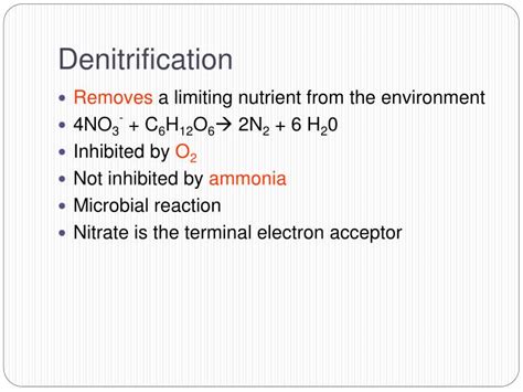 PPT - Soil Microbiology PowerPoint Presentation - ID:966927