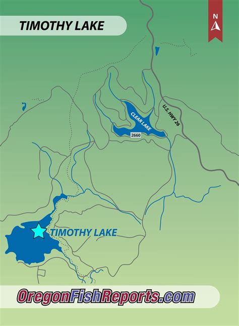 Timothy Lake - Fish Reports & Map