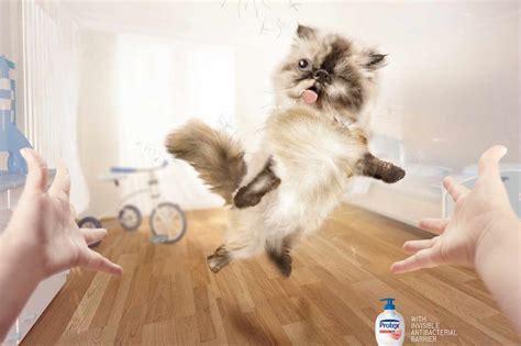 25 Cute And Funny Print Ads Starring Animals | Bored Panda