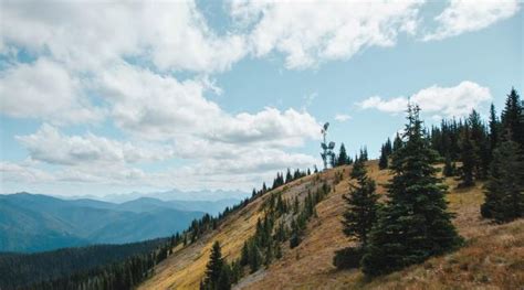 Alpine Meadows Photo | Hiking Photo Contest | Vancouver Trails