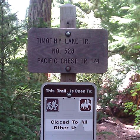 Run the Timothy Lake Trail + a Cool Timberline Marathon Finish | by ...