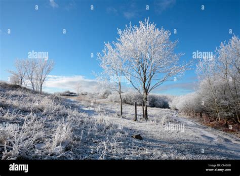 Hoar frost hi-res stock photography and images - Alamy