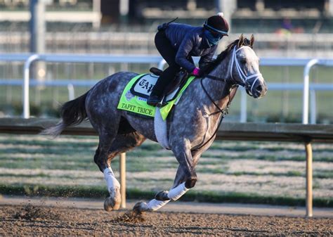 18 horses in Kentucky Derby 2023: Jockeys, records, trainers ...