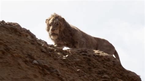 The Lion King: How Mufasa's Death Is Different In The Remake