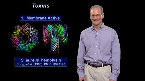 Pathogenic Bacteria: What Distinguishes a Pathogen from a Non-Pathogen ...