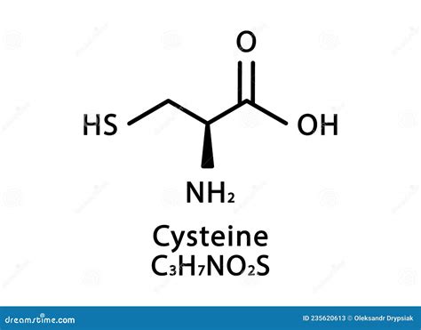 Cysteine Molecular Structure Isolated On White Stock Illustration ...