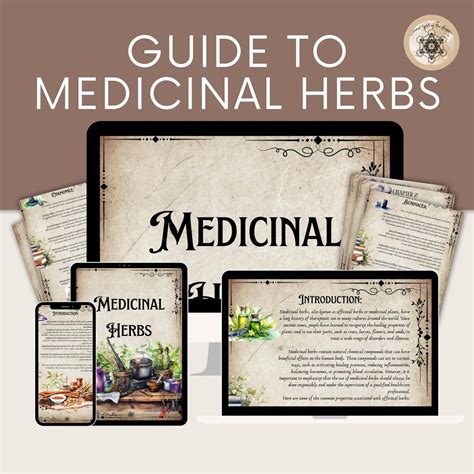 Printable Herbal Medicine Guide: A4 PDF on Medicinal Herbs, Herbal ...