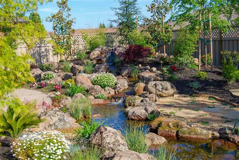 Koi Pond & Waterfall Backyard – Executive Care Inc