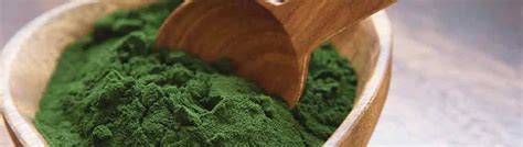 Chlorella Benefits & Products | Sun Chlorella USA