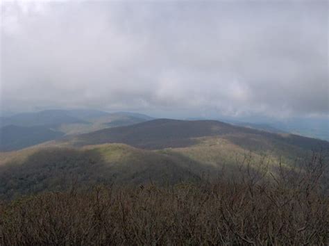 Tennessee Town Is Renamed Rocky Top. For Now - Justice Through Music ...