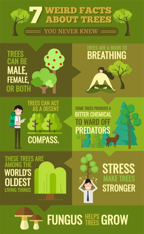 Environment Infographic Template