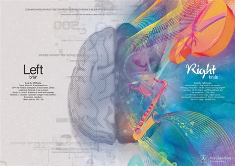 Left and right brain illustration HD wallpaper | Wallpaper Flare