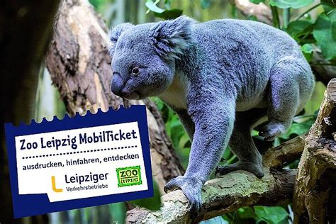 Preise & Tickets | Zoo Leipzig