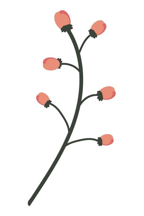 flower branch nature 10470681 Vector Art at Vecteezy