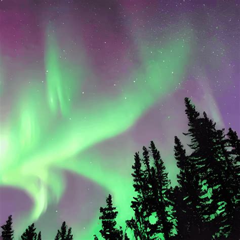 Northern Lights Sky with Stars Graphic · Creative Fabrica