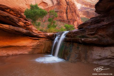 Desert Oasis | Grand Staircase-Escalante National Monument, Utah ...