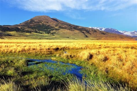 The Patagonia plateaux and the Andean Lake District - Argentina