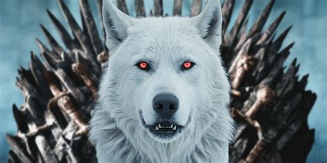 All 6 'Game of Thrones' Direwolf, Ranked