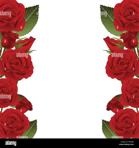 Red Rose Flower Frame Border. isolated on White Background. Vector ...