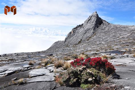 4 Gunung Terindah di Dunia dengan Pemandangan Ikonik