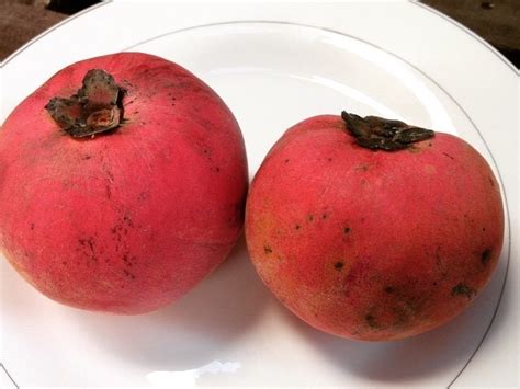 Mabolo: Fruit Eaten in the Philippines... Velvet apple?