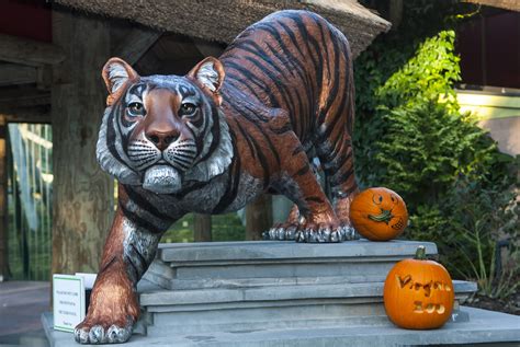 Zoo Boo at The Virginia Zoo in Norfolk, VA - Oct 25, 2014 10:00 AM ...