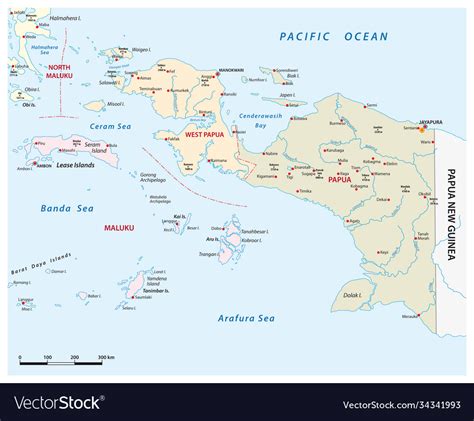 Map indonesian provinces papua west papua Vector Image