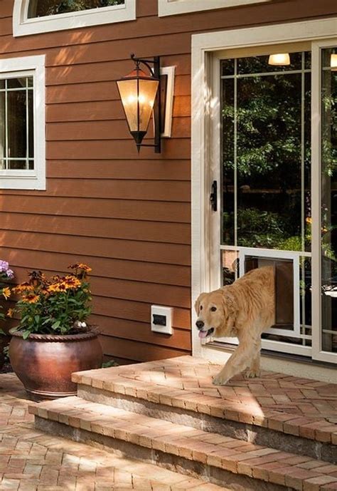 Sliding Glass Dog Door And Your Active Dog | Blog | PlexiDor