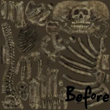 Skeleton Better texture at Skyrim Nexus - Mods and Community