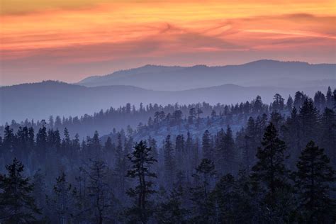 Aerial photography of forest during sunrise HD wallpaper | Wallpaper Flare