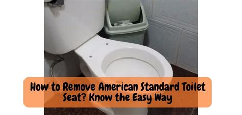 How to Remove American Standard Toilet Seat? Know the Easy Way!