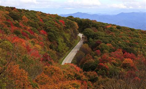 Fall Colors in the Smoky Mountains | Fall Foliage Around Pigeon Forge TN