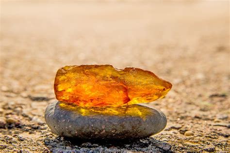 Amber on a Beach of the Baltic Sea Stock Image - Image of copy, natural ...